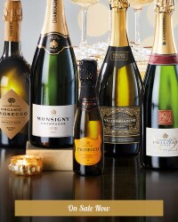 Costellore Prosecco Mini
