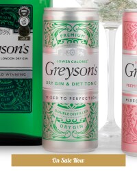 Ready-To-Drink Diet Gin & Tonic Can