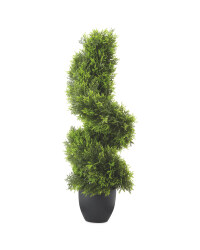 Cypress Topiary Spiral