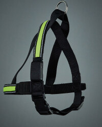 Pet Collection Light Up Dog Harness