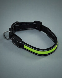 Pet Collection Flashing Dog Collar