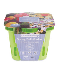 The Green Garden Spring Bulb Baskets