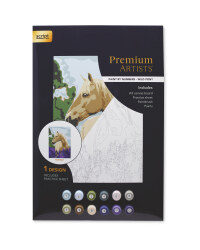 Wild Pony Paint By Numbers Set