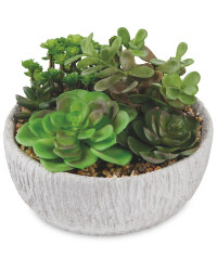 Rustic Container Succulent