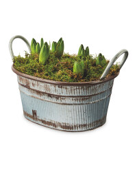 Indoor Hyacinth Planter