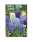 Alliums/Hyacinth Bulbs