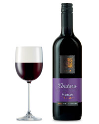 Andara Chilean Merlot