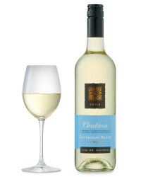 Andara Chilean Sauvignon Blanc