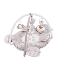Baby Play Gym