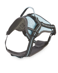 Blue Reflective Trim Dog Harness
