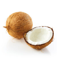 Coconut