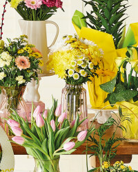 Easter Bumper Chrysanthemum Bouquet