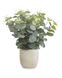 Eucalyptus Artificial Plant