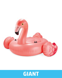 Giant Ride-On Inflatable Flamingo