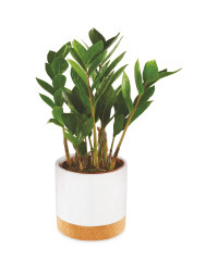 Foliage In Ceramic