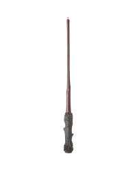 Harry Light Painting Wand