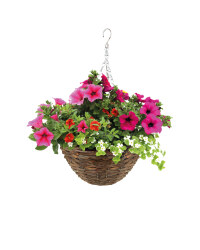 Irish Premium Rattan Hanging Basket