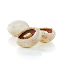 Flat Mushrooms