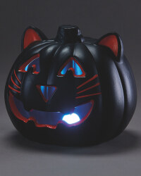 Orange Cat Light Up Pumpkin