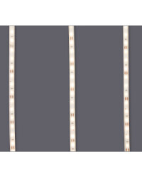 Kirkton House Outdoor Strip Lights