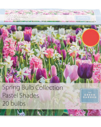 Shades Collection Spring Bulbs