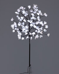 Solar Magnolia Tree