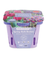 Spring Bulb Baskets