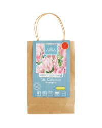 Tulip Collection