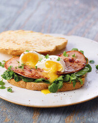 Unsmoked Turkey Rashers