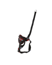 X-Small/Small Dog Seat Belt Harness