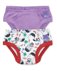 Zebra Potty Training Pants 2 Pack