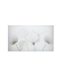 Kirkton House Flowers Canvas