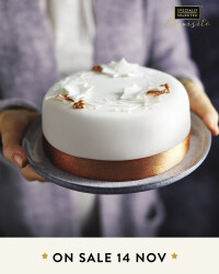 Exquisite Christmas Cake
