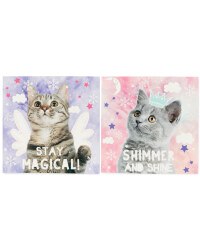 Mini Kittens Christmas Cards 30 Pack